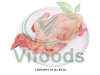 Bồ câu ra ràng 200 – 250gr con