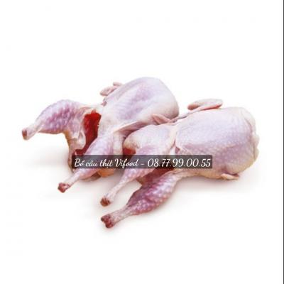 Bồ câu thịt giá sỉ Đồng Nai