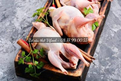 Bồ câu thịt giá sỉ TPHCM