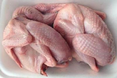 Thịt Chim Bồ Câu Ta Sạch 100% nuôi thả tự nhiên, chất lượng<