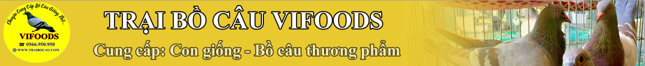 Trại Chim Bồ Câu Vifoods